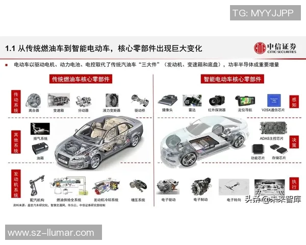 乒乓球运动的发展历程及其在全球范围内的影响与未来趋势分析