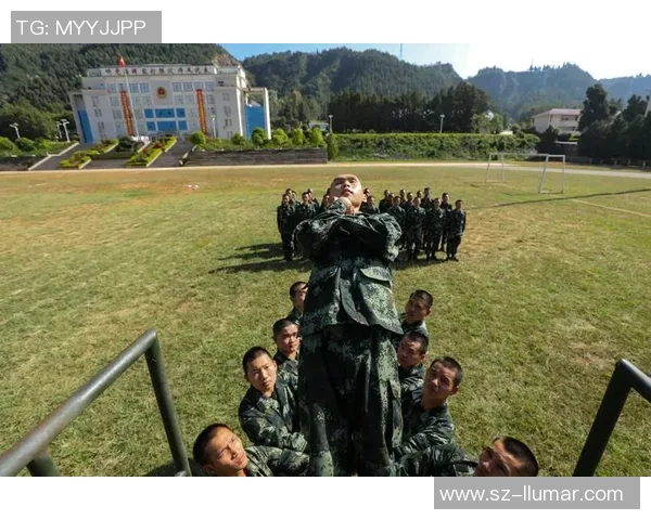 以跳水运动为核心探讨力量速度与心理素质协调发展的综合研究
