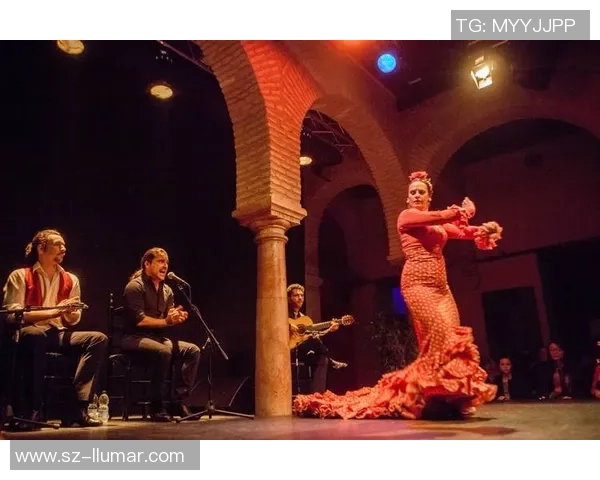 弗拉门戈的激情与灵魂探秘西班牙舞蹈艺术的历史文化之旅