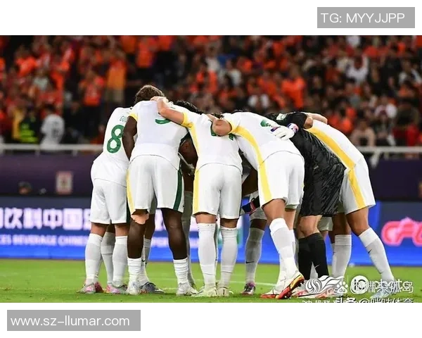 河南队主场鏖战强敌展现中原风采全力冲击胜利荣耀时刻