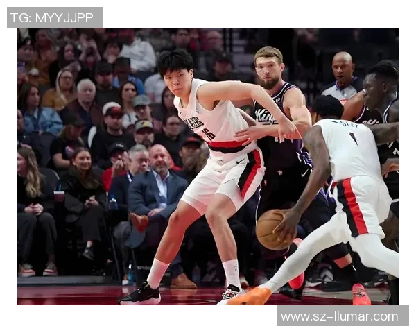 篮球之路：从街头巷尾到NBA赛场的梦想与拼搏